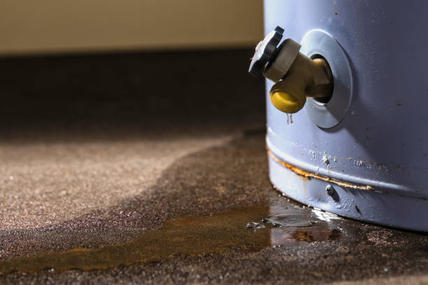 Best Mold removal after water damage  in Baxter, MN