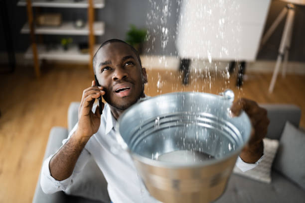 Best Carpet water damage restoration  in Baxter, MN