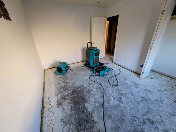 Best Sewage cleanup and water damage restoration  in Baxter, MN