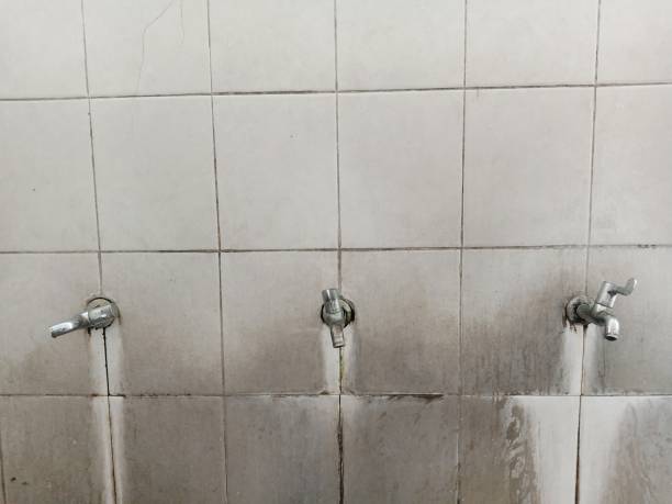Best Water damage cleanup near me  in Baxter, MN