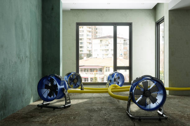 Best 24/7 water damage repair  in Baxter, MN