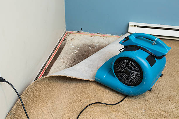 Professional Water damage restoration in MN